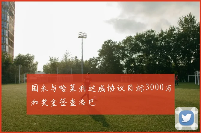 国米与哈莱利达成协议目标3000万加奖金签查洛巴